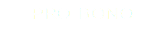  PRO BONO